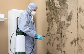 Havelock, NC Mold Removal & Remediation Company